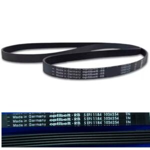 12502 CORREA 1184J5 ORIGINAL AU/BLUE/NEXT 12502